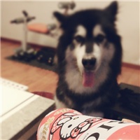 西语的特殊拼写应该怎么输入?重音符号_沪江