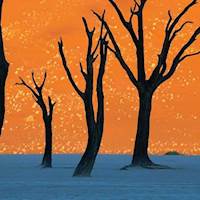 12月N3、六级刷分 - 沪江词汇社 - 沪江社团