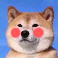 阳光灿烂小黑狗