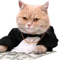 好好学习永远天天向上