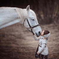 小萌萌萌萌萌新