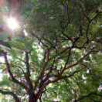 希思克利夫kdm8v