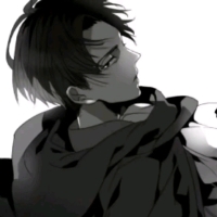 秀的不要不要的