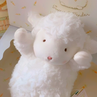 葡萄柚绿少冰五分糖