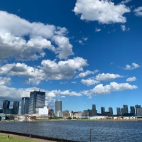 手机用户0777accjz