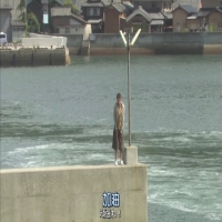 花果山的小蚊子