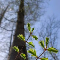 手机用户9362ytypy