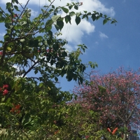 天使之王VS天使之后