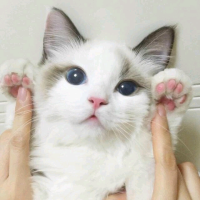 手机用户1776sspuj