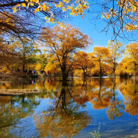 手机用户8850jcmxp