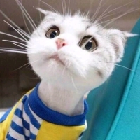 手机用户8888hdvxb