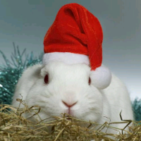 手机用户6531cmvws