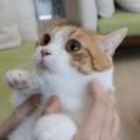 咸鱼爱吃小鱼干