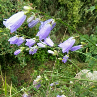 手机用户3196mfapw