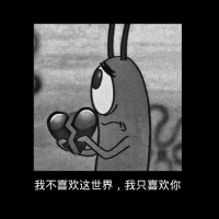 手机用户7780hucer