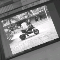 菠萝你个香蕉哈密瓜