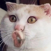 手机用户002bhkdb