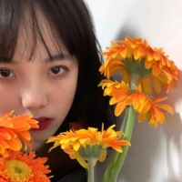 手机用户0114mgnrp