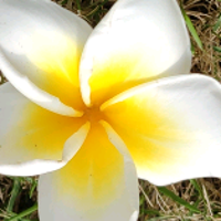 我想不出我的名字