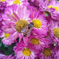 手机用户4190dnutn