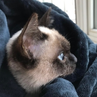 手机用户1448szbvy