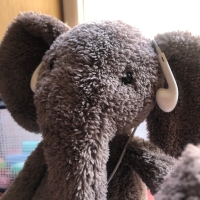 手机用户8865ruxdw