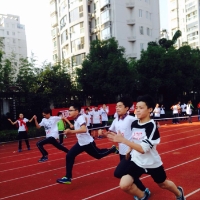 手机用户1785qtzwd