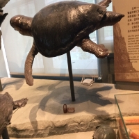 手机用户9042eqfrj