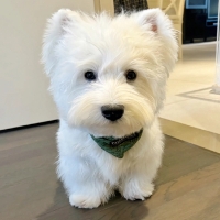 手机用户2839hgjvc