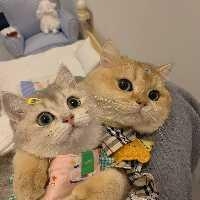 手机用户6954bfuzv