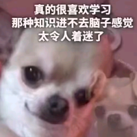 疯狂肝作业的工藤新一