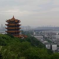 想变王子的青蛙