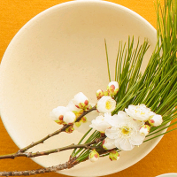 手机用户0810wfbqn