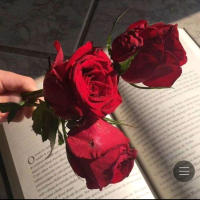 手机用户5051zteet