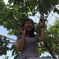 cuiweiyunswkuy