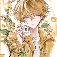 风止再爱你彡妍