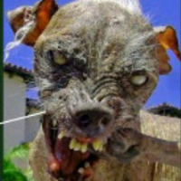 guestb1616ba3e4e5ee7