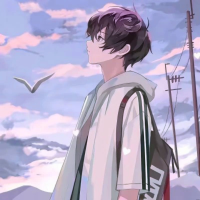 星星看贰了月亮