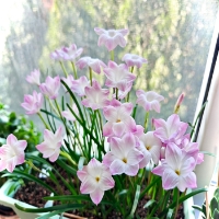 手机用户2096qebfc