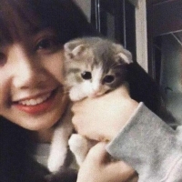 重生之零下归来