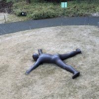脆脆咔咔树懒