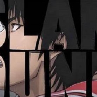 手机用户3732kpyyy