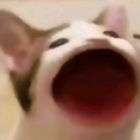 手机用户6210wdkva