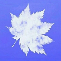 手机用户7570fxgyc