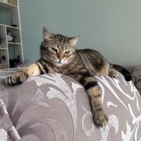 手机用户6749bsrwn