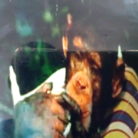 昨日过后便是今