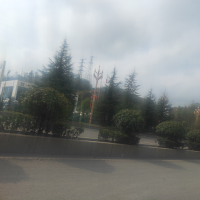 手机用户4763uvtny