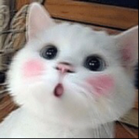 fingyou