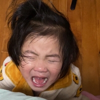 大笨狗555