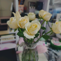 闪闪宝贝的幸福